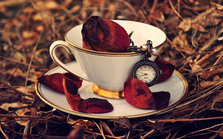 Cup Rose Red Petals Clock Leaves Autumn, autumn tea cup HD wallpaper