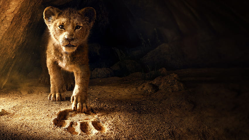 Grafika Lion King 2019, film o królu lwie Tapeta HD