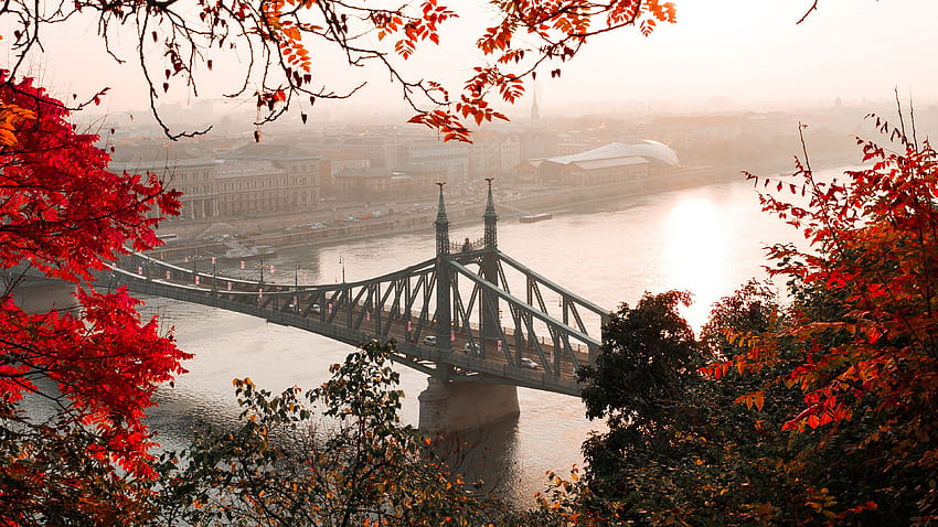 bridge, autumn, city, citadella, budapest, hungary Autumn, bridge, City, bridge autumn HD wallpaper