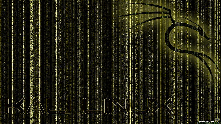 Kali Linux BackTrack Yellow v.1 by ZeroxProject HD wallpaper