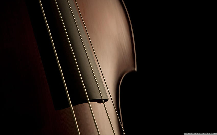 Double Bass Strings ❤ for Ultra TV HD wallpaper