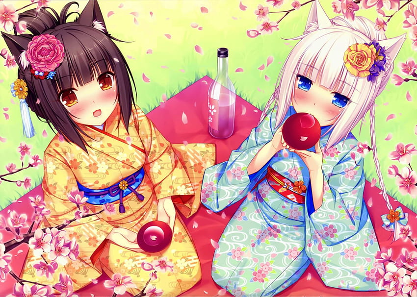 Anime-Mädchen auf einem Picknick, Neko Para und ..., Nekopara HD-Hintergrundbild