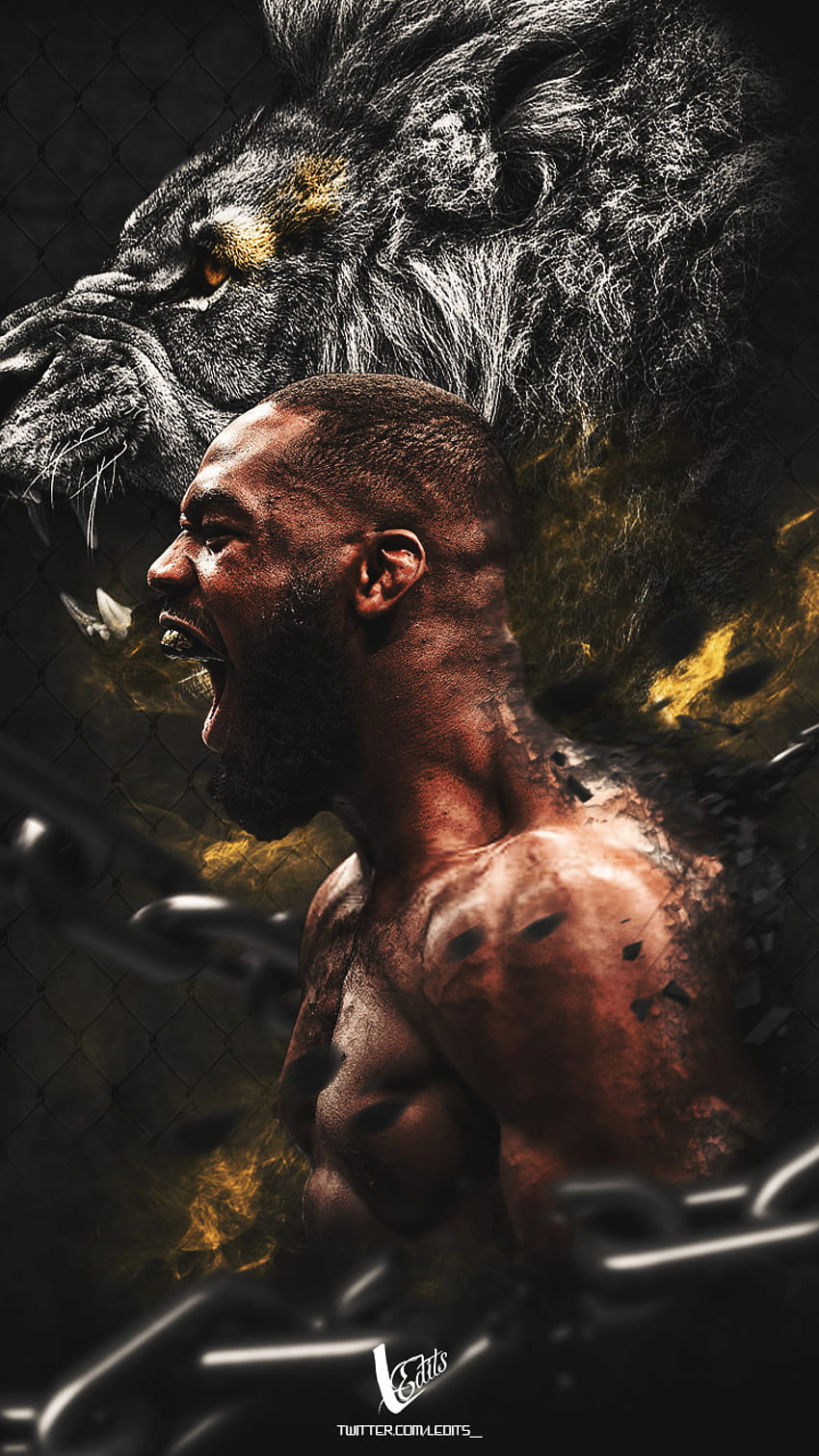 Lalo Haro, Jon Jones UFC HD-Handy-Hintergrundbild