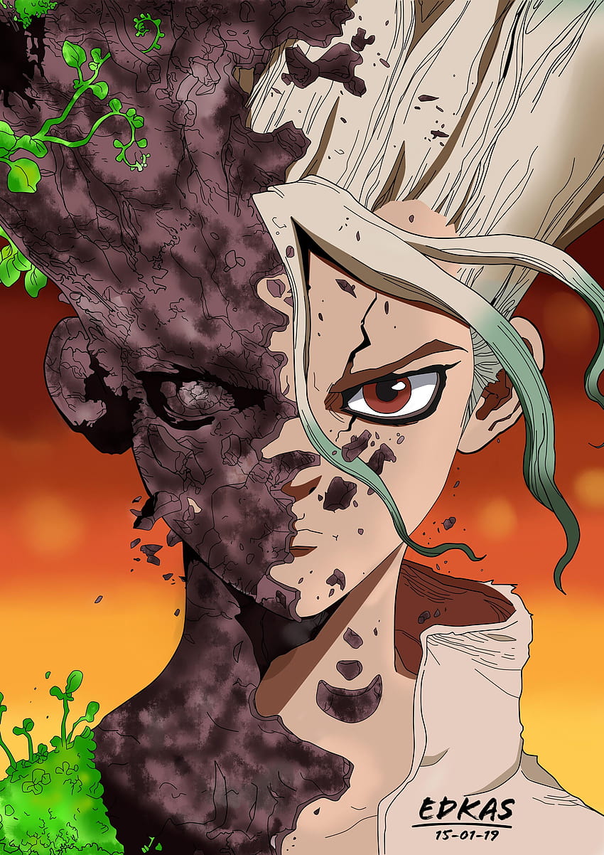 Dr. STONE, anime dr stone android HD phone wallpaper