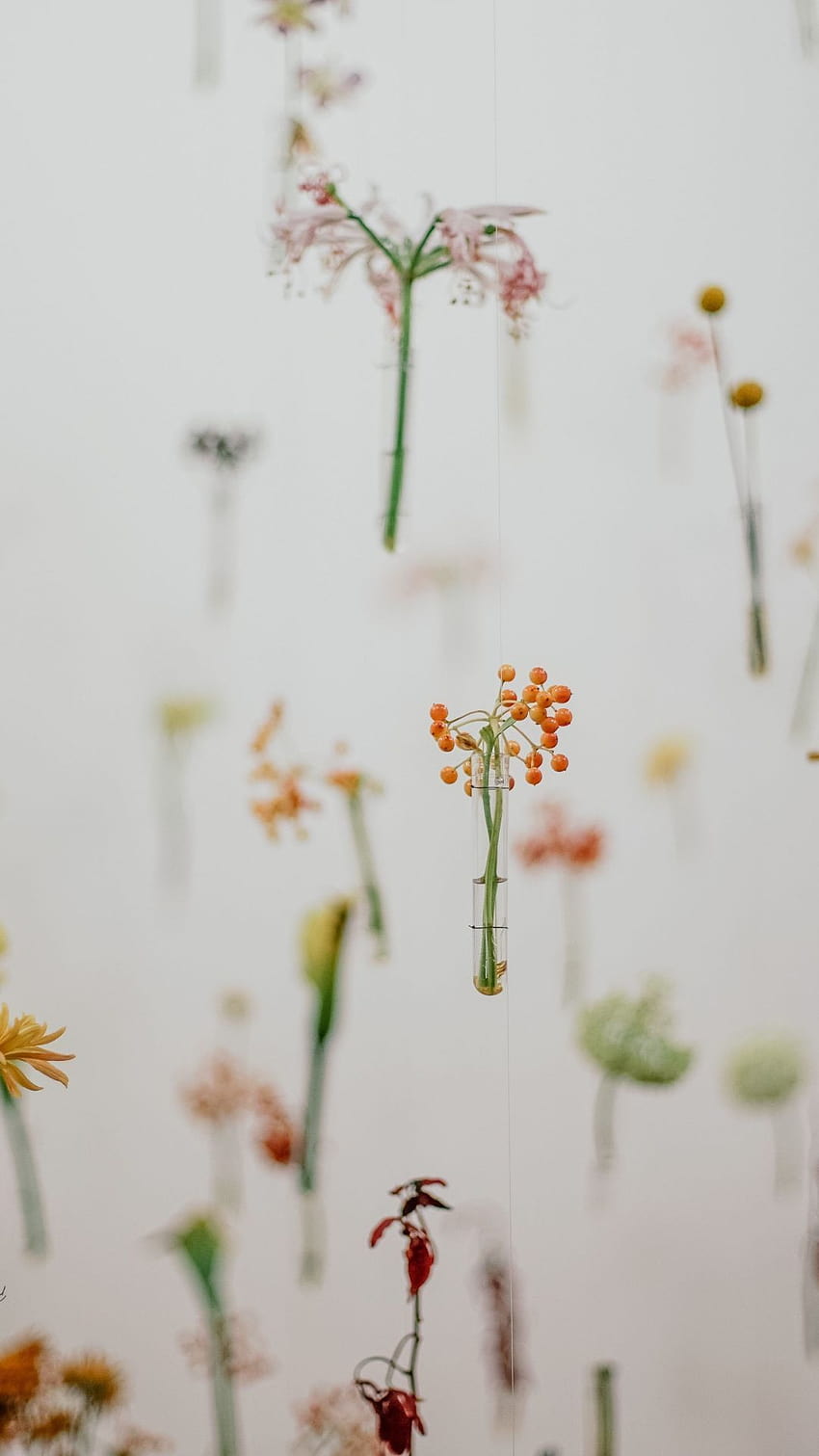 Minimalist Flower, pastel minimalist floral HD phone wallpaper