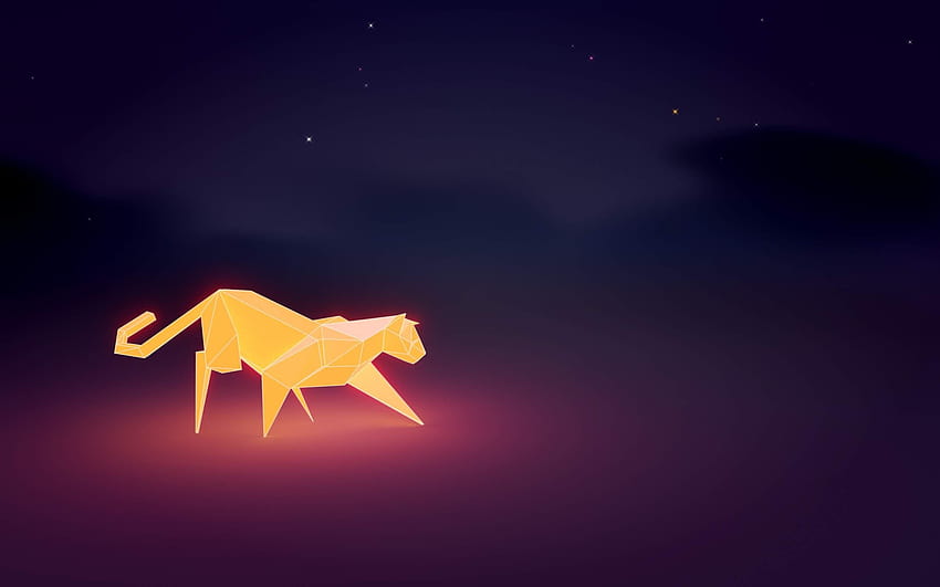cat low poly poly night / and Mobile Backgrounds HD wallpaper