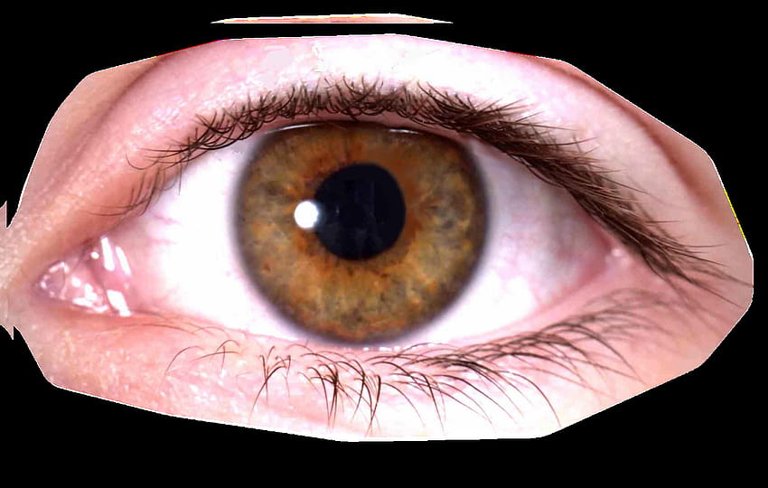Eyes PNG, possessed eyeball HD wallpaper