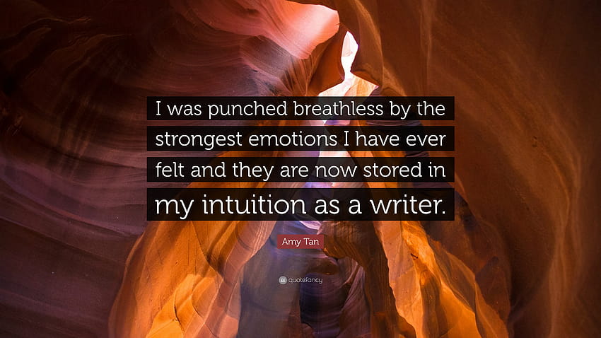 Amy Tan Quote: “I was punched breathless by the strongest emotions I have ever felt and HD wallpaper