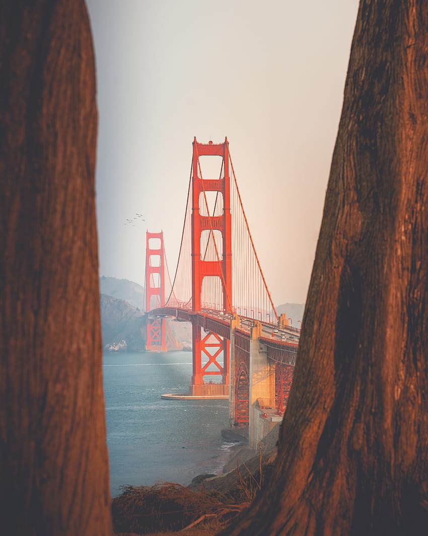 Golden Gate Bridge, San Francisco · Stock, telefon Golden Gate Bridge Tapeta na telefon HD