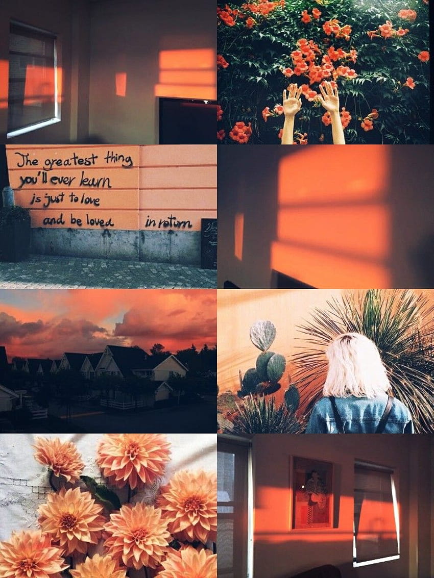 Orange aesthetic ;)a melhor coisa que você aprenderá é amar e ser amada, orange aesthetic collage HD phone wallpaper
