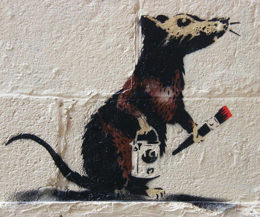 FAKE Banksy Piece In Taunton, UK, banksy rat HD wallpaper