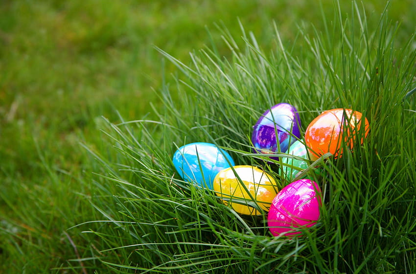 Where to Go on an Easter Egg Hunt in Los Angeles, easter egg hunt 2018 HD wallpaper