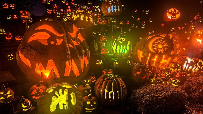 Halloween Scary Room Jack O 'Lantern Pumpkin, screensaver halloween 1920x1080 Wallpaper HD