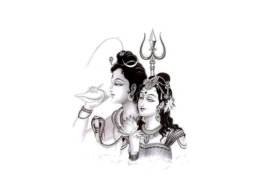  Drawing Lord Shiva Maa Parvati Wallpaper HD  MyGodImages