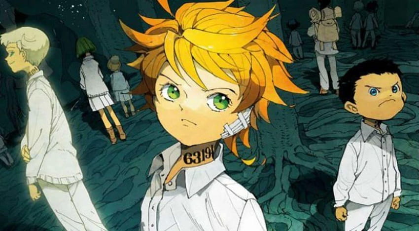 Emma The Promised Neverland, promised neverland phone HD wallpaper | Pxfuel