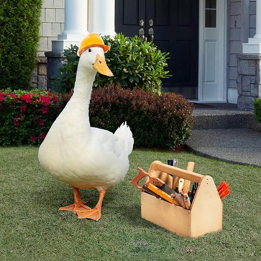 aflac duck clipart