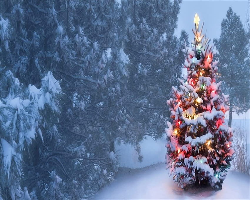 Amazon : AOFOTO 10x8ft Snow Covered Christmas Tree graphy Backgrounds Winter Outdoor White Xmas Backdrop New Year Kid Girl Boy Lovers Adult Portrait Studio Props Video Drape : Camera &, christmas tree outdoor winter HD wallpaper