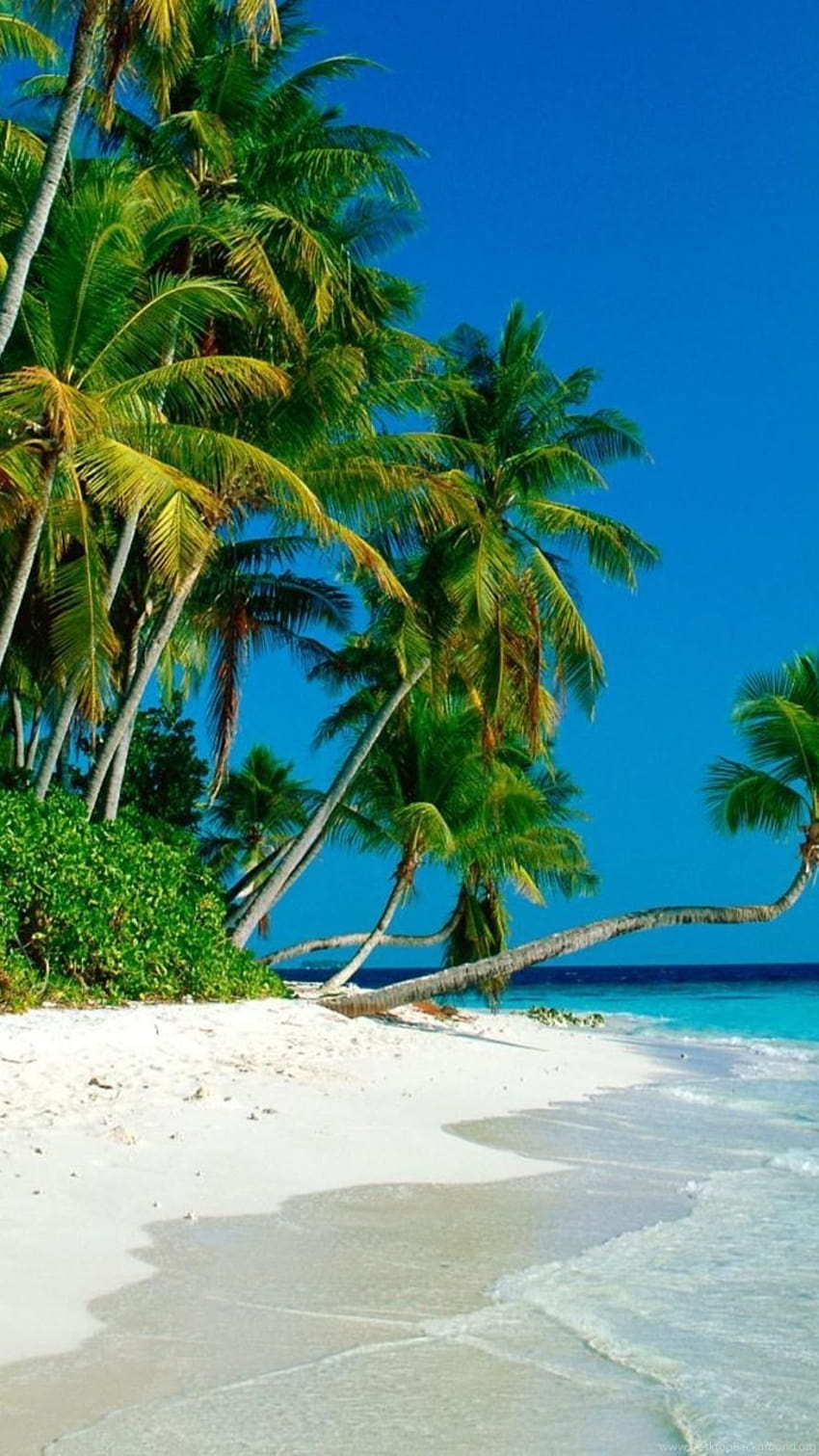 Fiji Beaches For Iphone Backgrounds HD phone wallpaper | Pxfuel