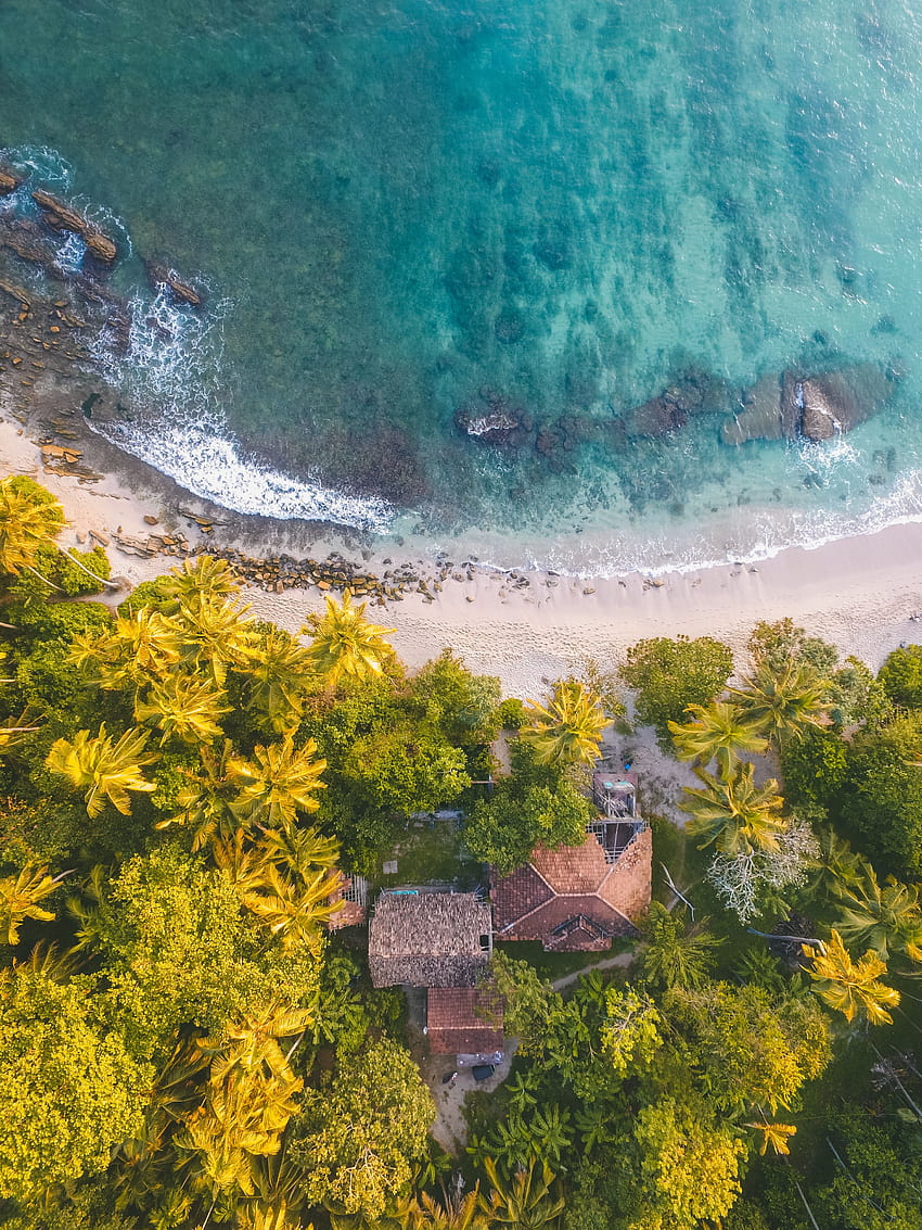 木の横にあるビーチ ラインの鳥瞰図、エキゾチックなスリランカ HD電話の壁紙