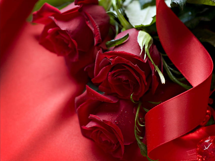 Beautiful 3D Red Rose :, rose downlod HD wallpaper | Pxfuel