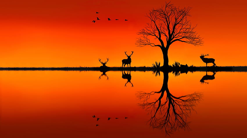 Landscapes nature animals trees lakes sunset orange art drawing birds, sunset drawing HD wallpaper