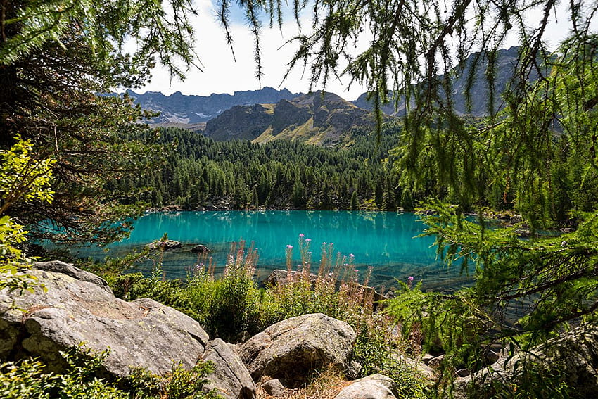 เทือกเขาแอลป์ สวิตเซอร์แลนด์ Lago di Saoseo ธรรมชาติ ภูเขา ทะเลสาบ หิน วอลล์เปเปอร์ HD