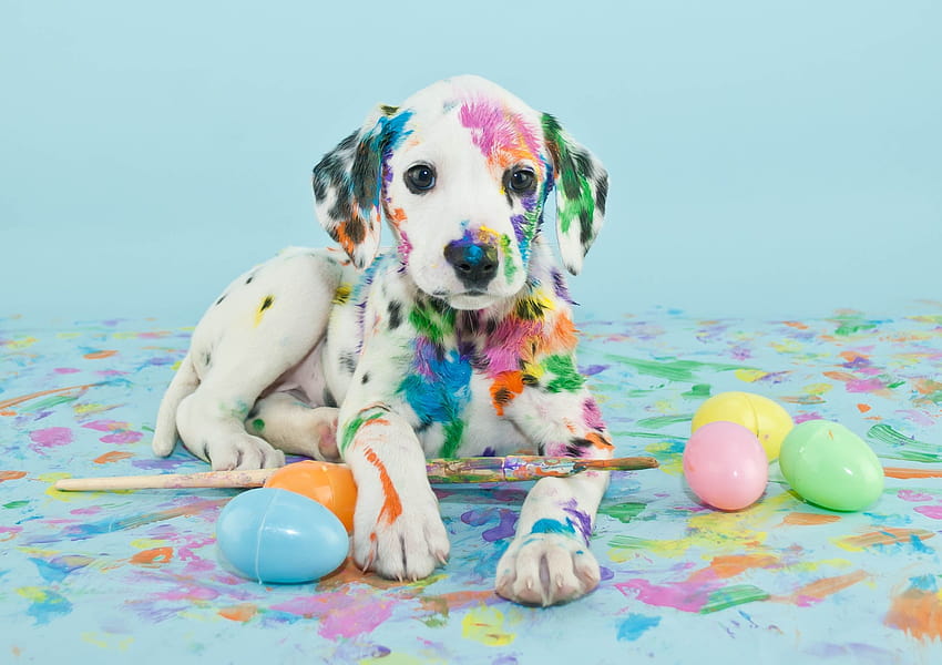 Dogs: Easter Puppy Paint Brush Eggs Dog Dalmatian, easter pups HD wallpaper