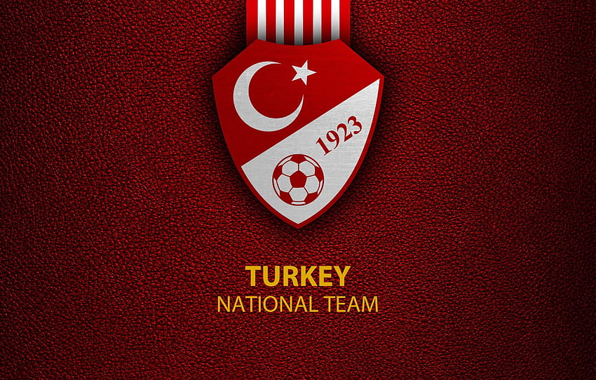 sport, logo, football, dinde, équipe nationale, section спорт, équipe nationale de football de turquie Fond d'écran HD