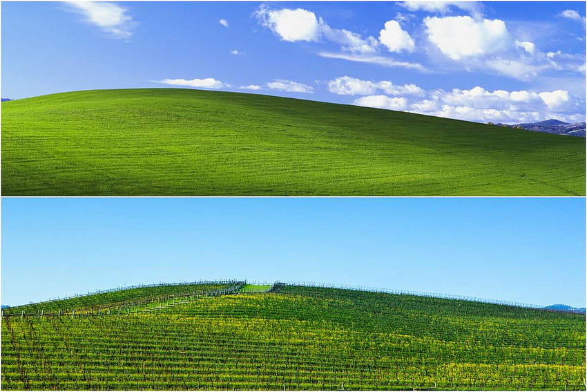Encontré la colina del Área de la Bahía en el icónico Windows XP de Windows 97 fondo de pantalla