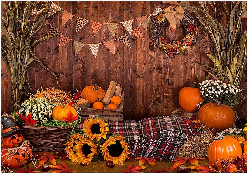 Amazon : Funnytree 7x5ft Fall Thanksgiving graphy Backdrop Rustic Wooden Floor Barn Harvest Backgrounds Autumn Pumpkins Maple Leaves Sunflower Baby Portrait Party Decoration Studio Booth Props : Electronics, thanksgiving soft HD wallpaper