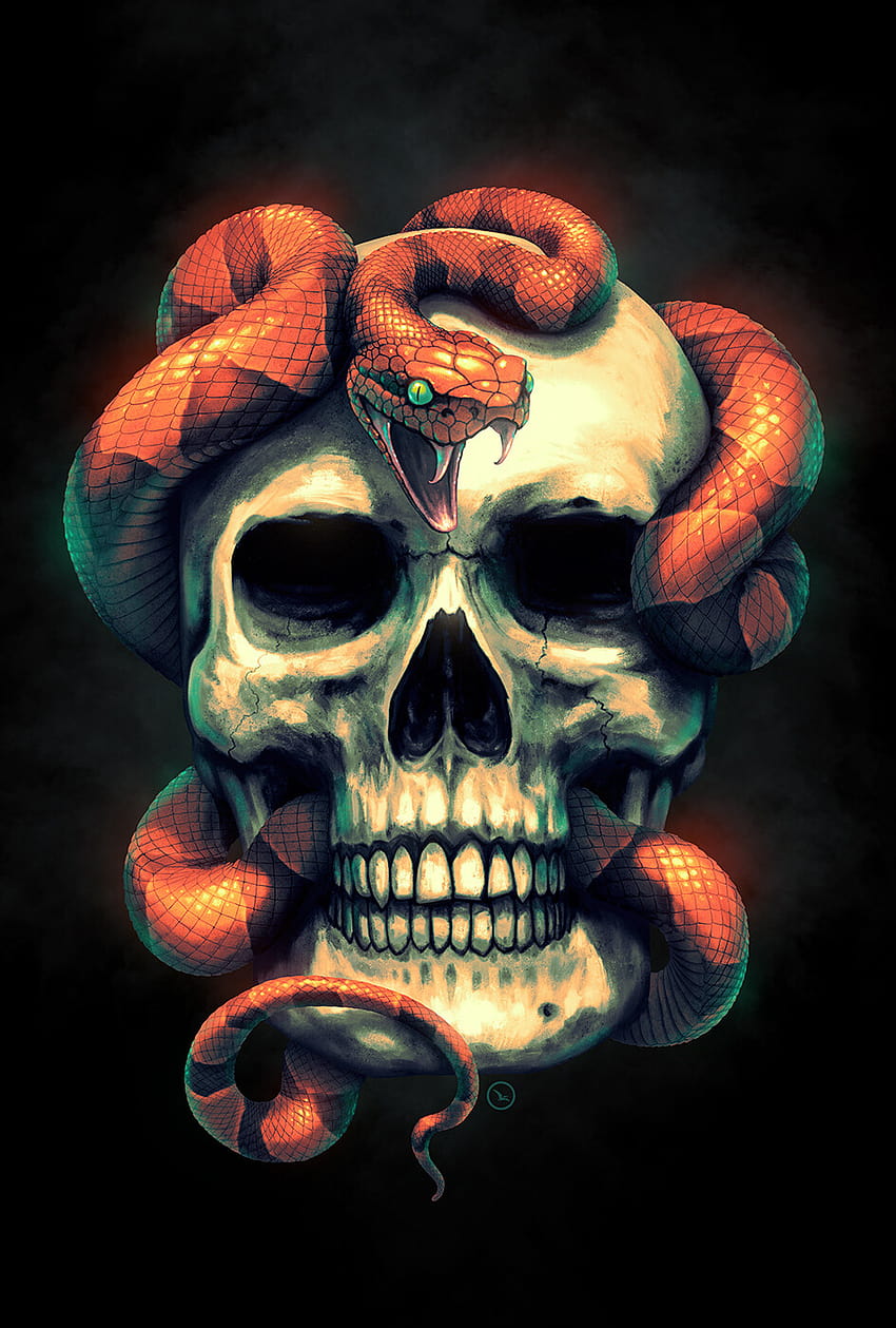 skull and snake wallpaper