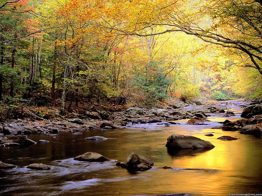 » Natural Backgrounds » Golden Waters, Great, smoky mountains HD wallpaper
