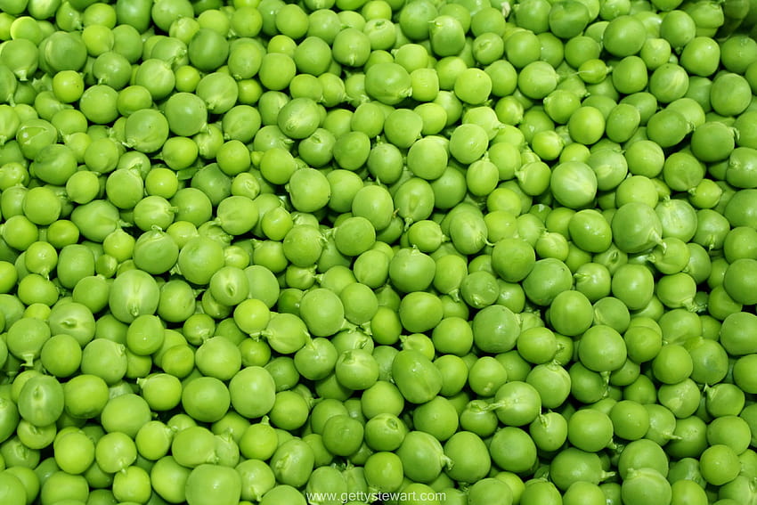pea , backgrounds, green peas HD wallpaper
