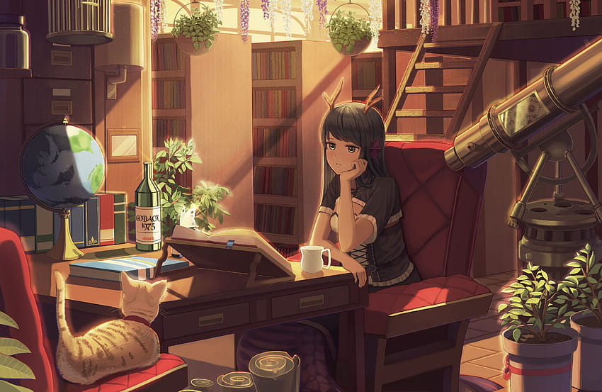 3500x2275 Anime Girl, Horns, Neko, Room, Books, Library, Studying, anime studying HD wallpaper