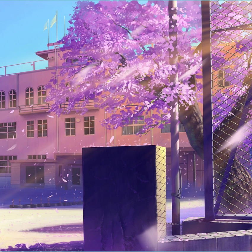 Seven Outrageous Ideas For Your Anime School Backgrounds HD phone wallpaper