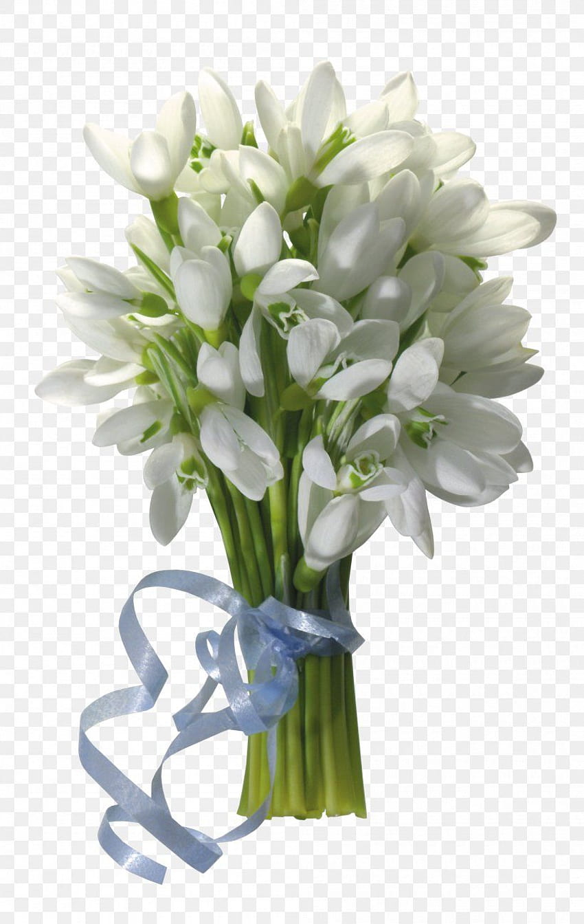 Bouquet de fleurs de perce-neige, PNG, 2000x3164px, perce-neige et crocus Fond d'écran de téléphone HD