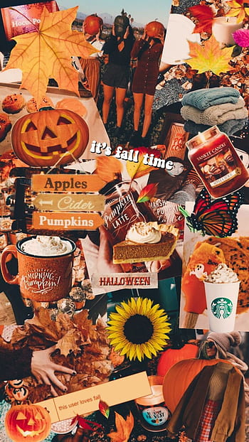 Cute Fall Wallpapers  Top 35 Best Cute Fall Wallpapers Download