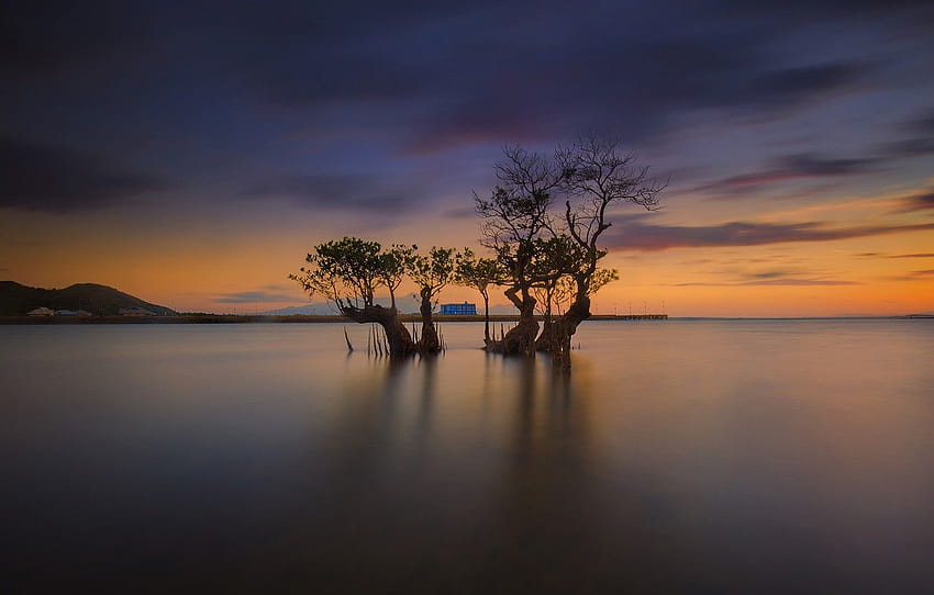 clouds, house, tree, Indonesia, the island of Lombok HD wallpaper