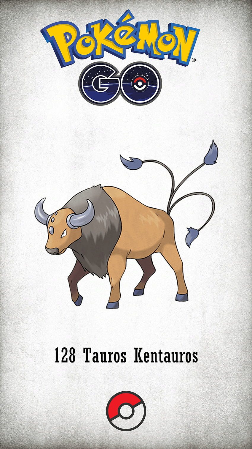 128 Character Tauros Kentauros HD phone wallpaper | Pxfuel