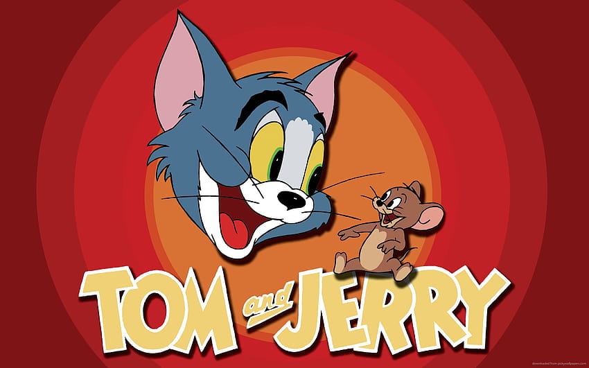 Cat and Mouse Game, tom and jerry funny HD wallpaper