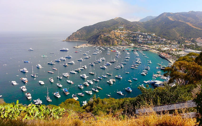 California Beautiful Bay Avalon, Santa Catalina Island : 13 HD wallpaper