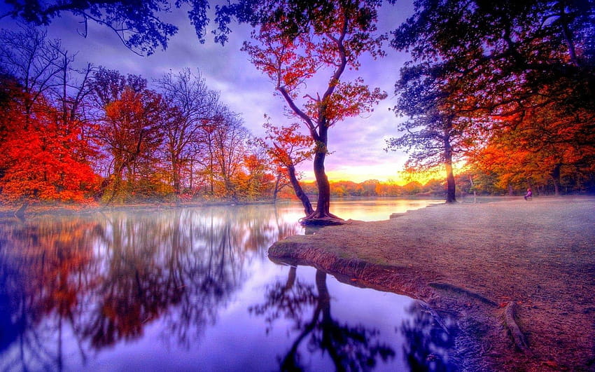 sunset, tree, lake, landscape, autumn HD wallpaper