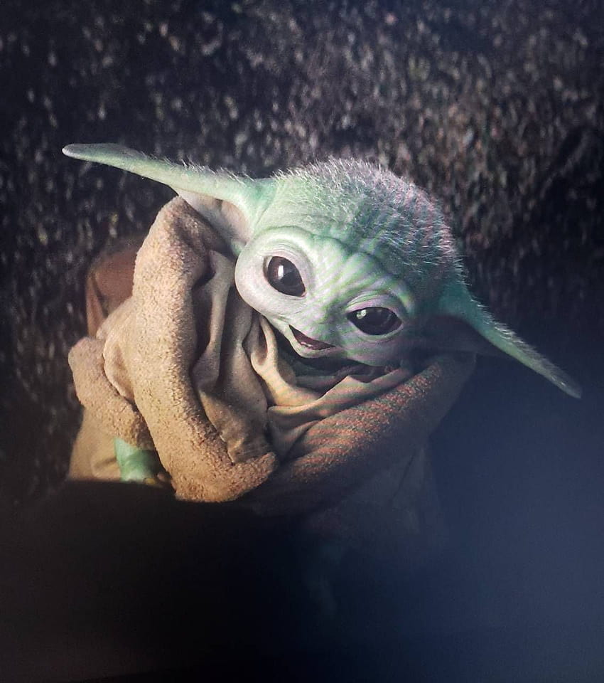 Diskutieren Sie alles über Disney Wiki, Grogu Baby Yoda HD-Handy-Hintergrundbild