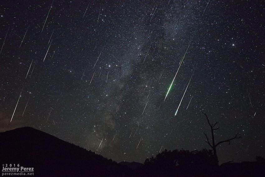 2016 Perseid Meteor Yağmuru, equuleus takımyıldızı HD duvar kağıdı