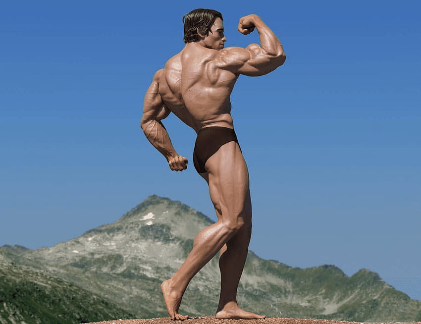 Arnold Schwarzenegger Mr Olympia Massive Body Builder HD wallpaper | Pxfuel