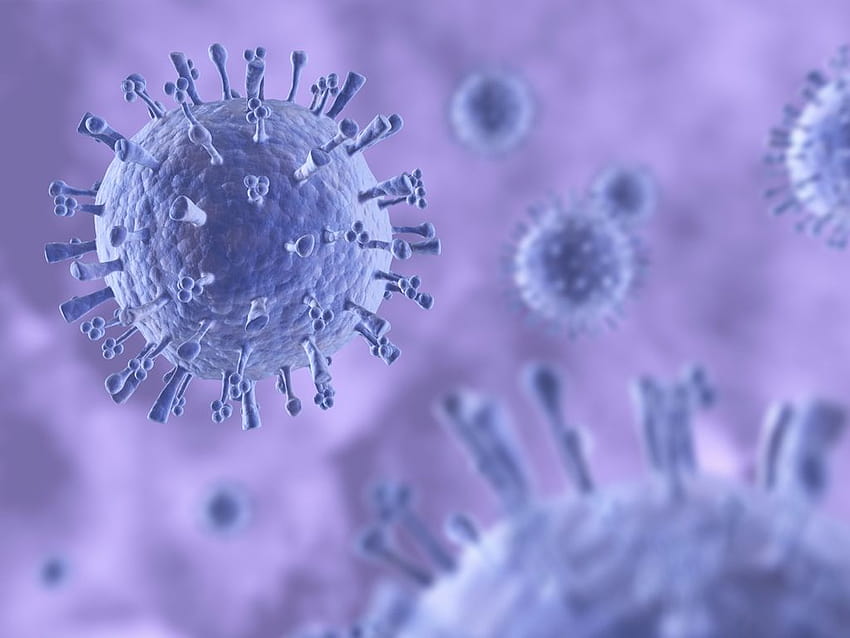 การติดตามไข้หวัดที่รวดเร็วและละเอียดอ่อน ไวรัสระบาด วอลล์เปเปอร์ HD