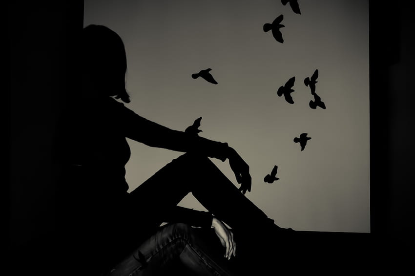 Silhouette einer Frau, die am Fenster sitzt und fliegende Vögel beobachtet · Stock, Schattenvogel HD-Hintergrundbild