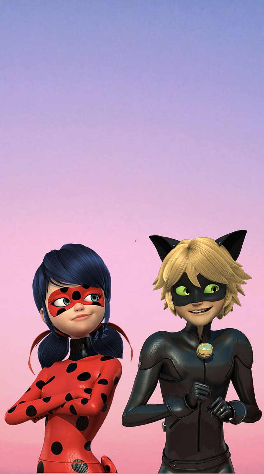 Miraculous Ladybug and Cat Noir, ladybug and chat noir anime HD phone wallpaper