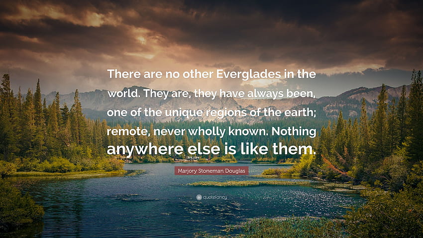 Marjory Stoneman Douglas Quote: “There are no other Everglades in the world. They are, they have always been, one of the unique regions of the earth; rem...”, the everglades HD wallpaper