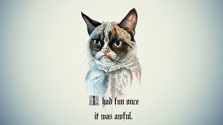 Funny Meme, sad cat meme HD wallpaper | Pxfuel